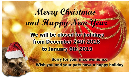 Christmas 2018